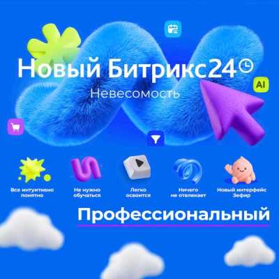 Битрикс24 тариф Профессиональный