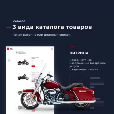 Winn: премиальный корпоративный сайт